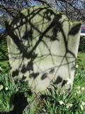 image of grave number 632513